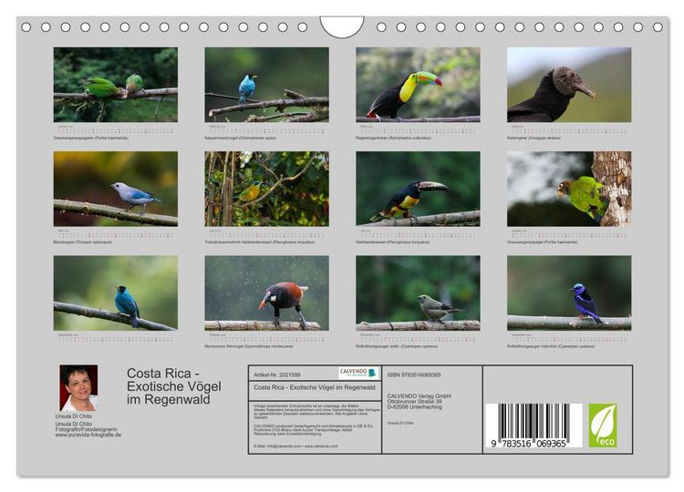 Produktbild: Costa Rica - Exotische V&ouml;gel im Regenwald (Wandkalender 2026 DIN A4 quer), CALVENDO Monatskalender