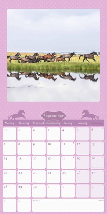 Mein Pferdekalender 2026 - Broschürenkalender 30x30 cm (30x60 geöffnet) - Kalender mit Platz für Notizen - Bildkalender - Wandplaner - Wandkalender