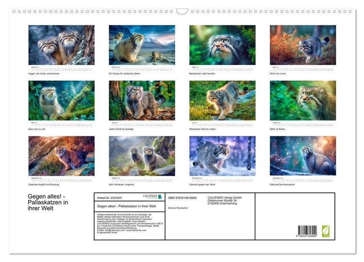 Produktbild: Gegen alles! - Pallaskatzen in ihrer Welt (Wandkalender 2027 DIN A2 quer), CALVENDO Monatskalender
