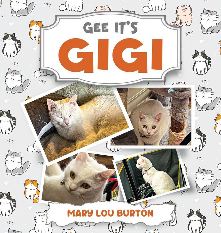 Produktbild: Gee It's Gigi