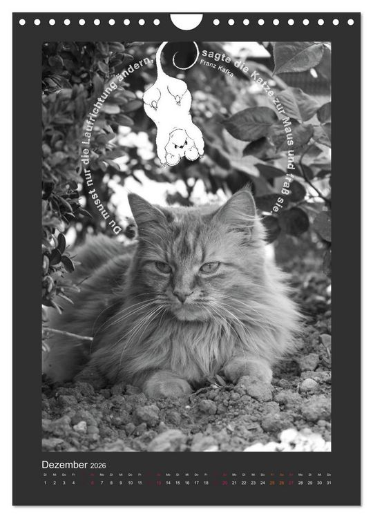 Produktbild: Katz & Maus (Wandkalender 2026 DIN A4 hoch), CALVENDO Monatskalender