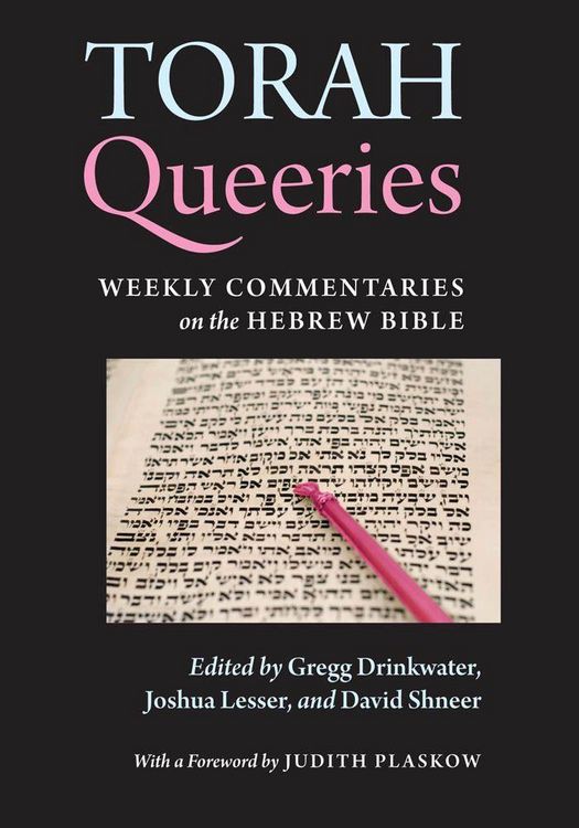Produktbild: Torah Queeries