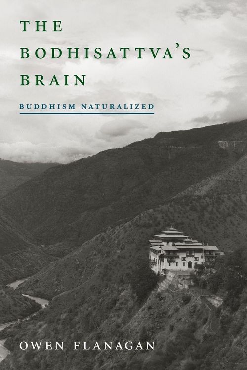 Produktbild: The Bodhisattva's Brain