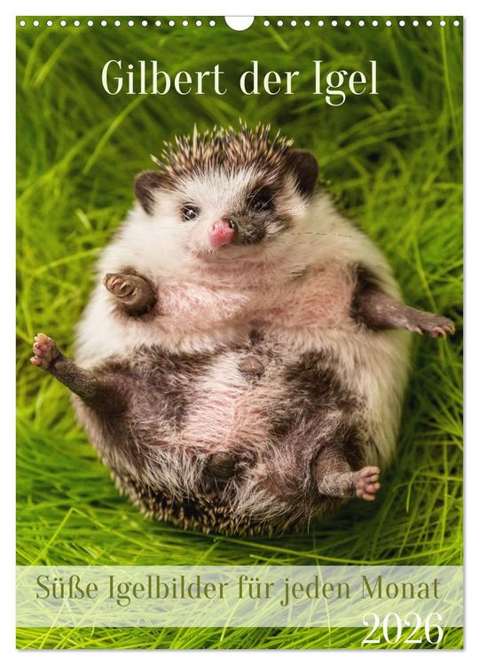 Produktbild: Gilbert der Igel (Wandkalender 2026 DIN A3 hoch), CALVENDO Monatskalender