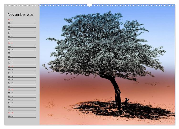 Produktbild: Magische B&auml;ume (hochwertiger Premium Wandkalender 2026 DIN A2 quer), Kunstdruck in Hochglanz