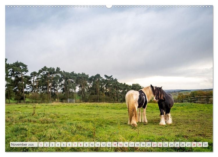 Produktbild: Nationalpark Eifel - Sch&ouml;ne Tage im Gr&uuml;nen (hochwertiger Premium Wandkalender 2026 DIN A2 quer), Kunstdruck in Hochglanz