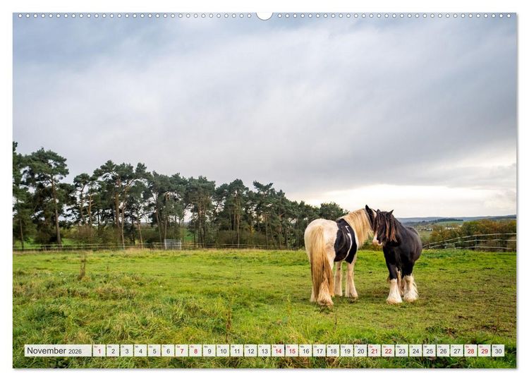 Produktbild: Nationalpark Eifel - Sch&ouml;ne Tage im Gr&uuml;nen (Wandkalender 2026 DIN A2 quer), CALVENDO Monatskalender