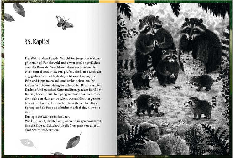 Produktbild: Funklerwald