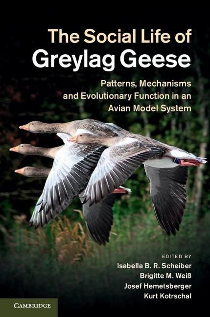 Produktbild: Social Life of Greylag Geese