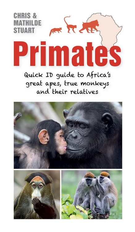 Produktbild: Primates