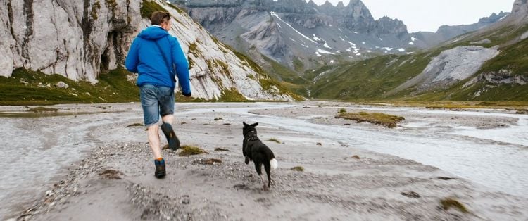 Produktbild: Cody - Wie ein Hund die Welt ver&auml;ndert