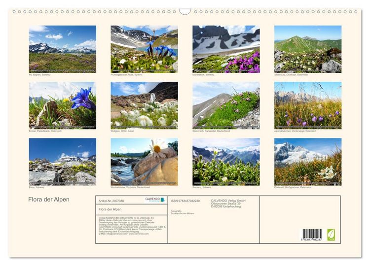 Produktbild: Flora der Alpen (Wandkalender 2026 DIN A2 quer), CALVENDO Monatskalender