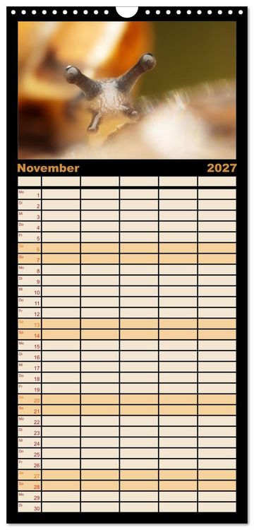Produktbild: Familienplaner 2027 - Verborgene Wunder mit 5 Spalten (Wandkalender, 21 x 45 cm) CALVENDO