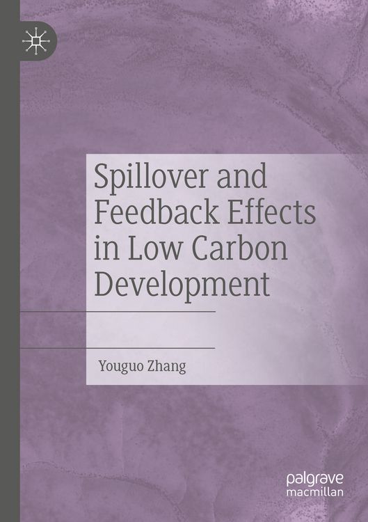 Produktbild: Spillover and Feedback Effects in Low Carbon Development