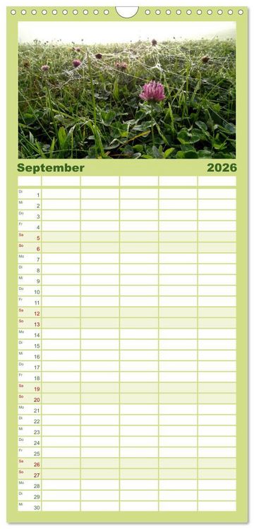 Produktbild: Familienplaner 2026 - Jahreszeiten mit 5 Spalten (Wandkalender, 21 x 45 cm) CALVENDO