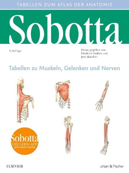 Produktbild: Sobotta Tabellen zu Muskeln, Gelenken und Nerven