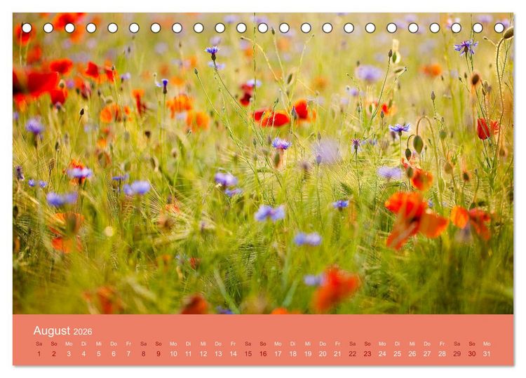 Produktbild: Farbwechsel - Die Farben der vier Jahreszeiten (Tischkalender 2026 DIN A5 quer), CALVENDO Monatskalender