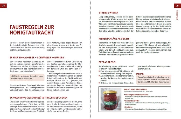Produktbild: Waldtracht von Fichte und Tanne