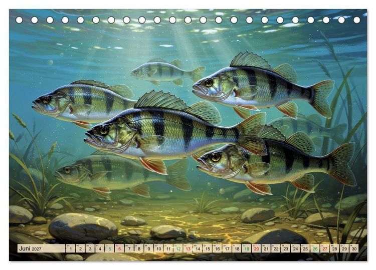 Produktbild: Barsche im See (Tischkalender 2027 DIN A5 quer), CALVENDO Monatskalender