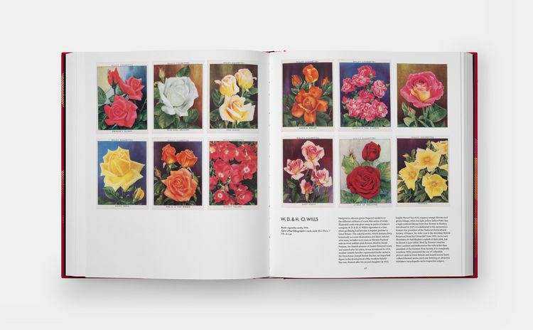 Produktbild: The Rose Book