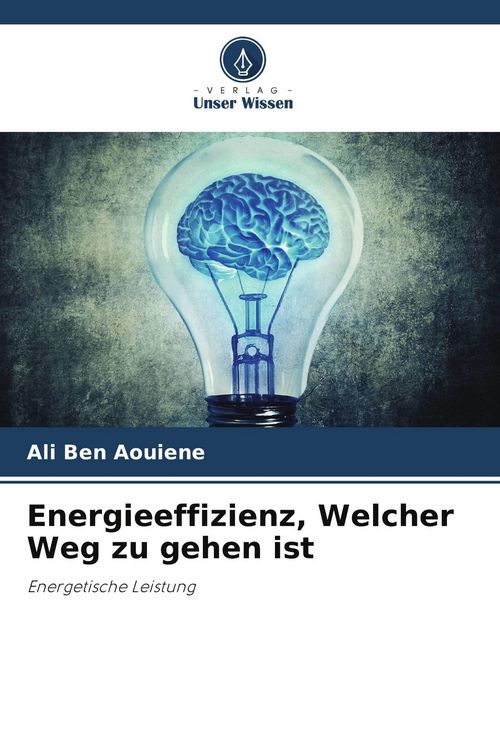 Produktbild: Energieeffizienz, Welcher Weg zu gehen ist