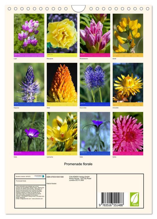 Produktbild: Promenade florale (Calendrier mural 2026 DIN A4 horizontal), CALVENDO calendrier mensuel