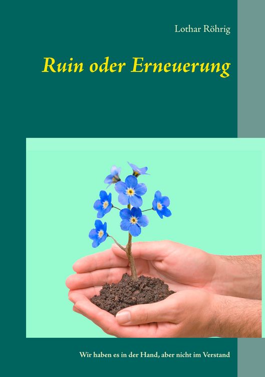 Produktbild: Ruin oder Erneuerung