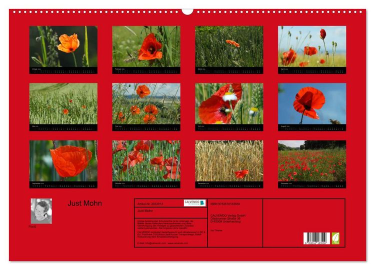 Produktbild: Just Mohn (Wandkalender 2026 DIN A2 quer), CALVENDO Monatskalender