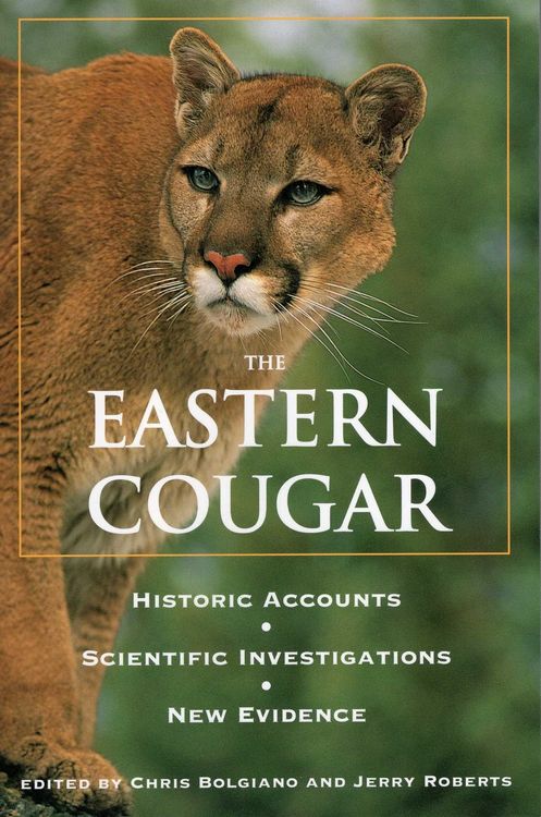 Produktbild: Eastern Cougar