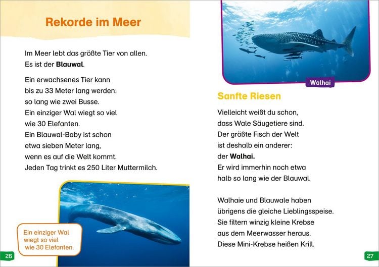 Produktbild: WAS IST WAS Erstes Lesen easy! Band 19. Tierische Rekorde