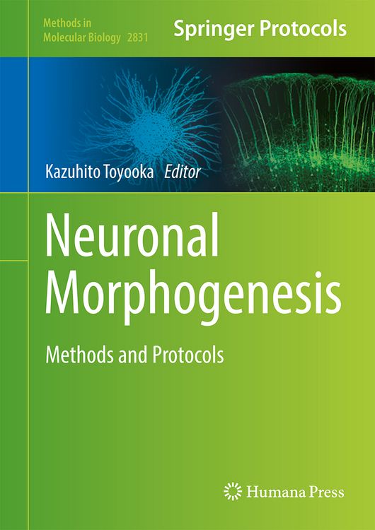 Produktbild: Neuronal Morphogenesis