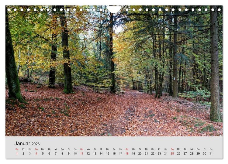 Produktbild: Saarland - unbekannte Sch&ouml;nheit (Wandkalender 2026 DIN A4 quer), CALVENDO Monatskalender