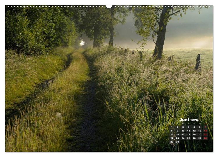 Produktbild: Die Dingdener Heide im Wandel der Jahreszeiten (hochwertiger Premium Wandkalender 2026 DIN A2 quer), Kunstdruck in Hochglanz