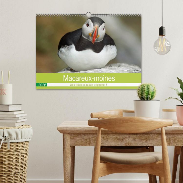 Produktbild: Macareux-moines Des petits oiseaux originaux! (Calendrier mural 2026 DIN A3 vertical), CALVENDO calendrier mensuel