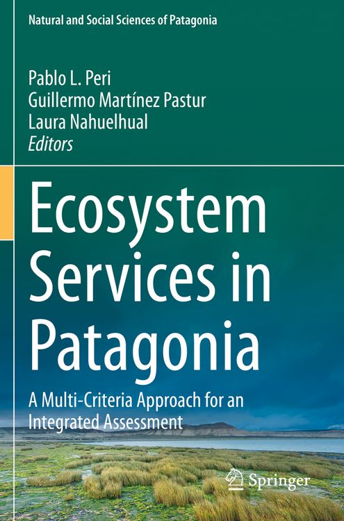 Produktbild: Ecosystem Services in Patagonia
