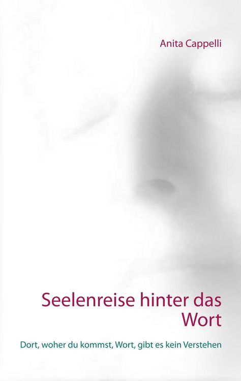 Produktbild: Seelenreise hinter das Wort