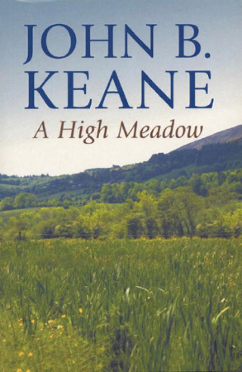 Produktbild: A High Meadow