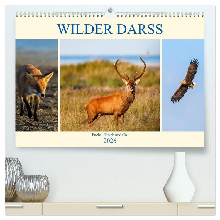 Produktbild: Wilder Dar&szlig; - Fuchs, Hirsch und Co. 2026 (hochwertiger Premium Wandkalender 2026 DIN A2 quer), Kunstdruck in Hochglanz
