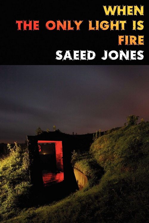 Produktbild: When the Only Light Is Fire