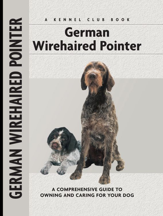 Produktbild: German Wirehaired Pointer