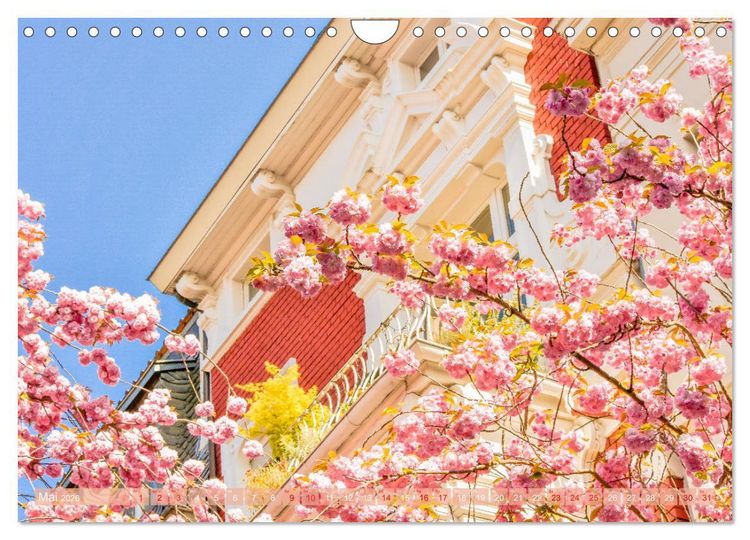 Produktbild: Nordrhein-Westfalen - Ein malerischer Spaziergang (Wandkalender 2026 DIN A4 quer), CALVENDO Monatskalender