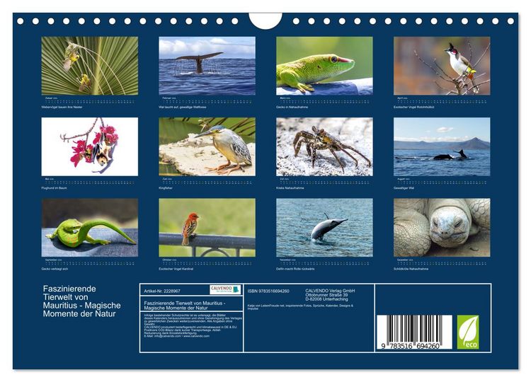 Produktbild: Faszinierende Tierwelt von Mauritius - Magische Momente der Natur (Wandkalender 2026 DIN A4 quer), CALVENDO Monatskalender