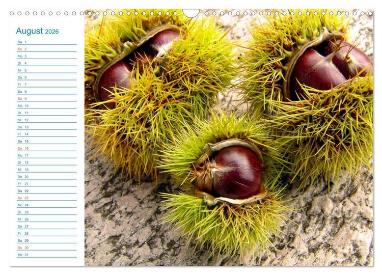 Produktbild: Wundersch&ouml;nes Tessin (Wandkalender 2026 DIN A3 quer), CALVENDO Monatskalender