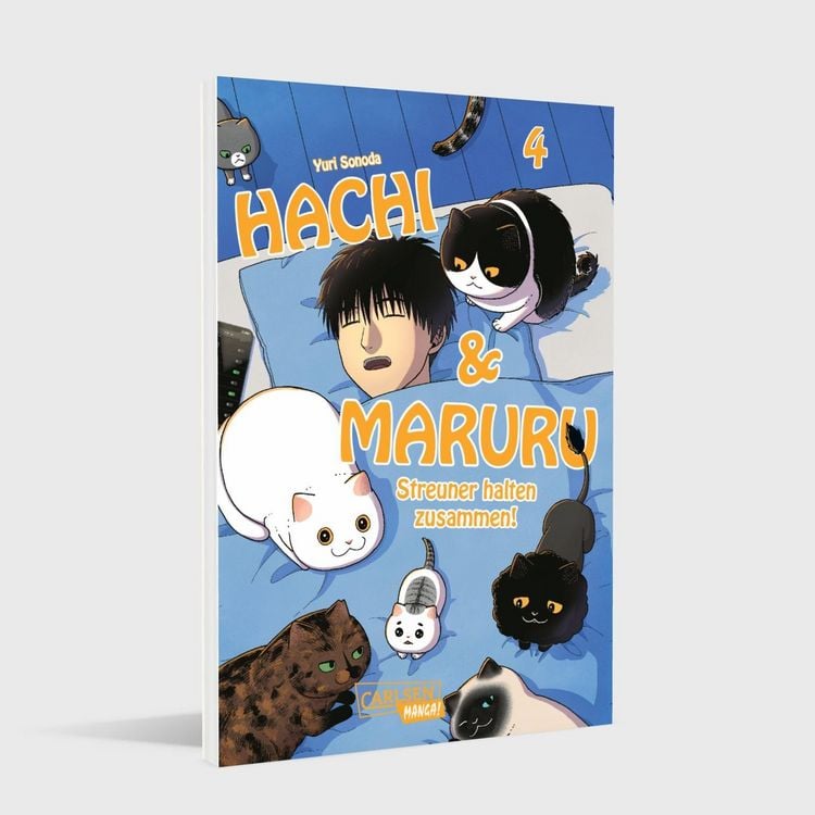 Produktbild: Hachi & Maruru &ndash; Streuner halten zusammen! 4