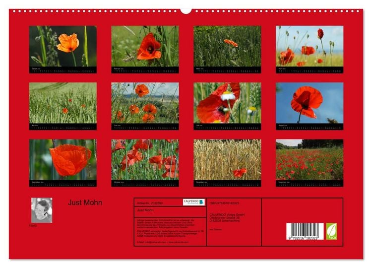 Produktbild: Just Mohn (hochwertiger Premium Wandkalender 2026 DIN A2 quer), Kunstdruck in Hochglanz