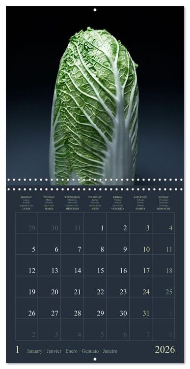 Produktbild: Les l&eacute;gumes hauts en couleur (Calendrier mural carr&eacute; 2026 30x30 cm) Calendrier double avec une page pour vos prises de notes
