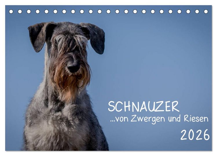 Produktbild: Schnauzer... von Zwergen und Riesen 2026 (Tischkalender 2026 DIN A5 quer), CALVENDO Monatskalender