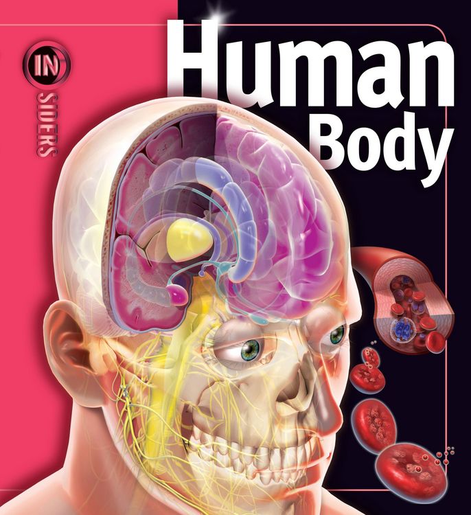 Produktbild: Human Body