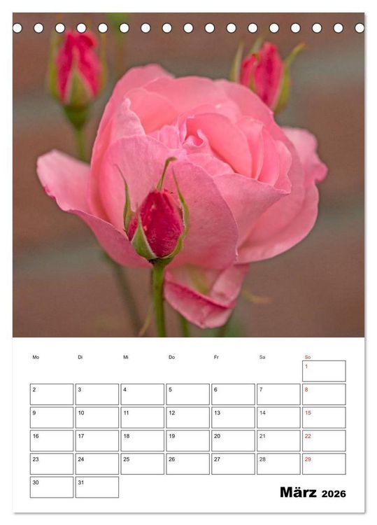Produktbild: Zauberhafte Rosen (Tischkalender 2026 DIN A5 hoch), CALVENDO Monatskalender