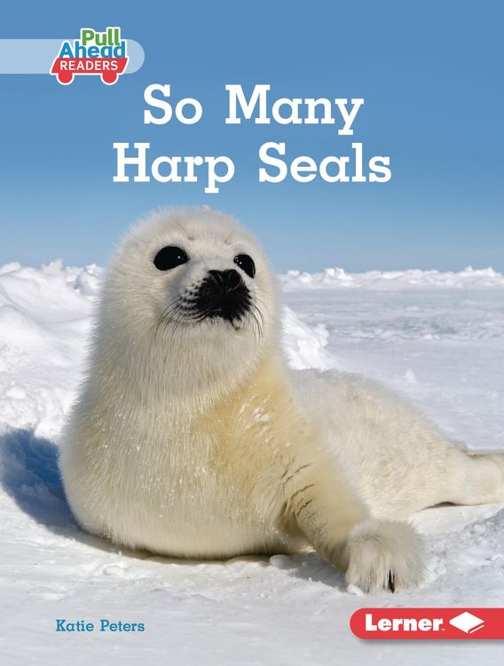 Produktbild: So Many Harp Seals